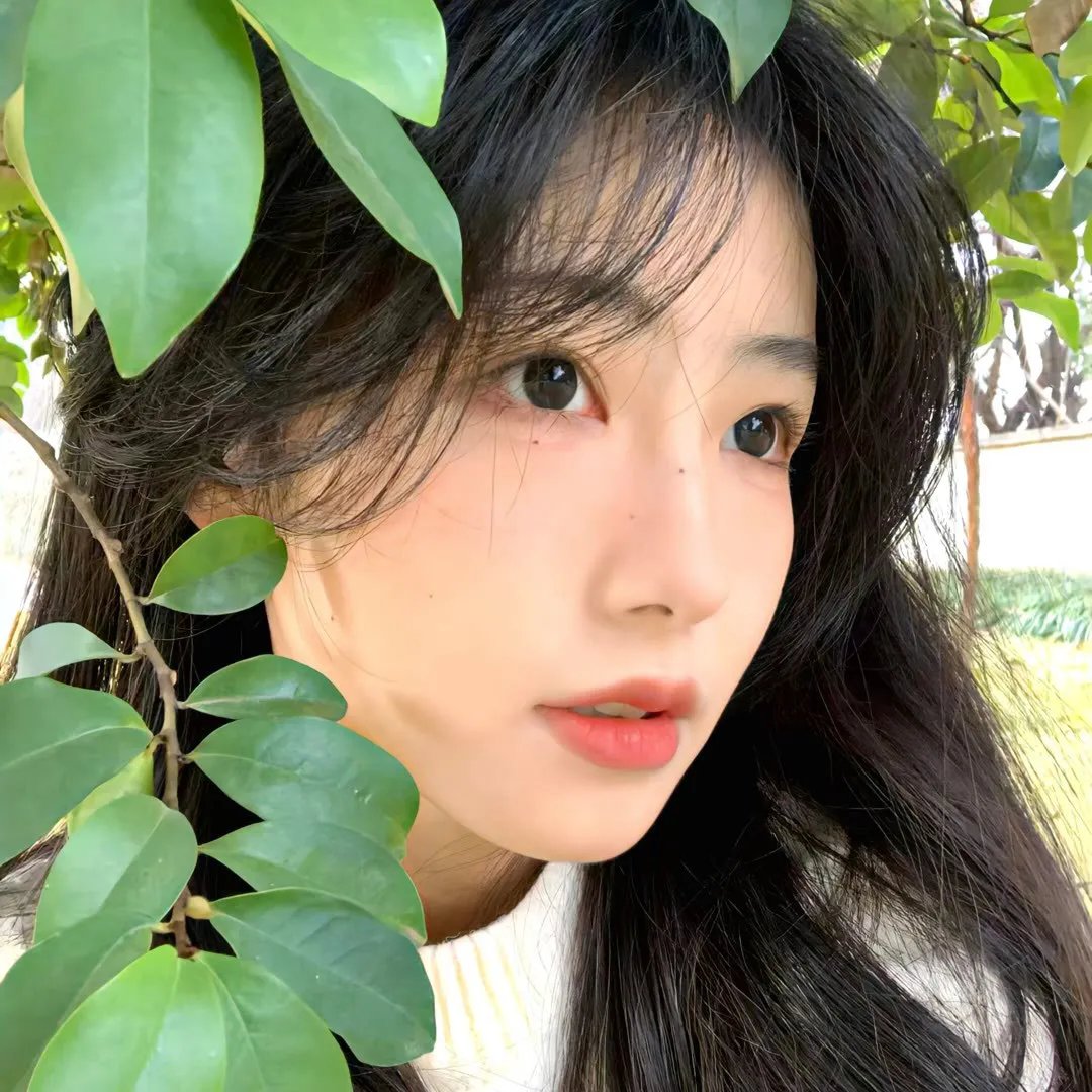 影之宅第二季